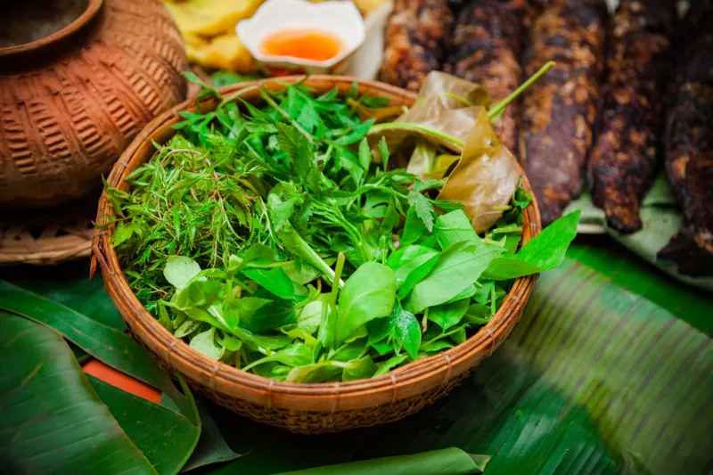 Roots in American Soil: The Vietnamese-American Home Gardens That Carry a Whole World Inside Them